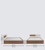 Galaxy Queen Size Bed In Exotic Teak & Frosty White Finish With Box Storage