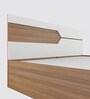 Galaxy Queen Size Bed In Exotic Teak & Frosty White Finish With Box Storage