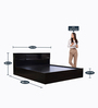 Galene King Size Bed in Wenge Finish with Headboard & Box Storage with 1 BedSide Table