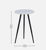 Galison Metallic End Table with Black Base & White Porcelain Top (Set of2)