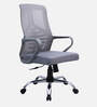 Nagisa Ergonomic Chair With Lumbar Support In Grey Colour