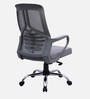 Nagisa Ergonomic Chair With Lumbar Support In Grey Colour