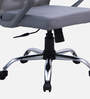 Nagisa Ergonomic Chair With Lumbar Support In Grey Colour