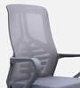 Nagisa Ergonomic Chair With Lumbar Support In Grey Colour