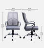 Nagisa Ergonomic Chair With Lumbar Support In Grey Colour