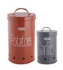 Galvanized Steel Multicolour Airtight Container (Set of 2 )