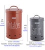 Galvanized Steel Multicolour Airtight Container (Set of 2 )