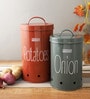Galvanized Steel Multicolour Airtight Container (Set of 2 )