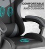 Gaming Gaming Chair in Grey & Black Colour