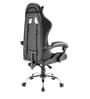 Gaming Gaming Chair in Grey & Black Colour