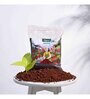 Garden Red Soil