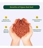 Garden Red Soil