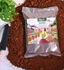 Garden Red Soil