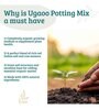 Garden Soil Mix