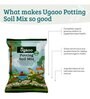 Garden Soil Mix