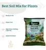 Garden Soil Mix