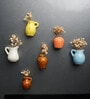 Garden Whispers Magnet Collection Set of 6