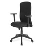 Gary Breathable Mesh Ergonomic Chair in Black Colour