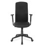 Gary Breathable Mesh Ergonomic Chair in Black Colour