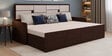 Gems Pull-Out Sofa Cum Bed With Mattress & Storage in Wenge Colour
