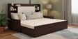 Gems Queen Sized Pull-Out Sofa Cum Bed With Storage in Wenge Finish