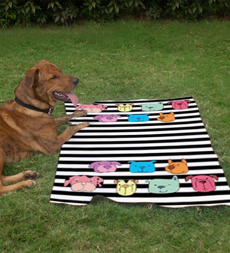 Buy Geometrical Striped Small Dog Blanket in MultiColour by Right