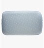Peso Memory Gel Foam -Single Pillow Insert (23.5x16)