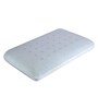Peso Memory Gel Foam -Single Pillow Insert (23.5x16)