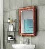 Gem Cabinet With Mirror In Mango Wood Colour