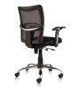 Gemini Office Ergonomic Mesh Chair in Black Colour