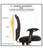 Gemini Office Ergonomic Mesh Chair in Black Colour