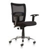 Gemini Office Ergonomic Mesh Chair in Black Colour