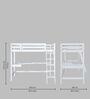 Genius Bunk Bed in White Finish