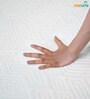 Geniva 6 inch Memory Foam Single Mattress