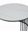 Genting Malaysian Round Sintereted Top Coffee Table Set Of 2 In White Black Finish