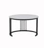 Genting Malaysian Round Sintereted Top Coffee Table Set Of 2 In White Black Finish