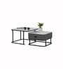 Genting Malaysian Square Sintered Top Coffee Table Set Of 2 In Grey Finish