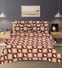 Brown Geometric Cotton Queen Double Size Bed Sheet With 2 Pillow Covers