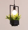 Geometric Flowervase Rectangle Black  Hanging Light