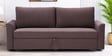 Gia Velvet Fabric Sofa Cum Bed in Brown Colour With Storage
