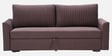 Gia Velvet Fabric Sofa Cum Bed in Brown Colour With Storage