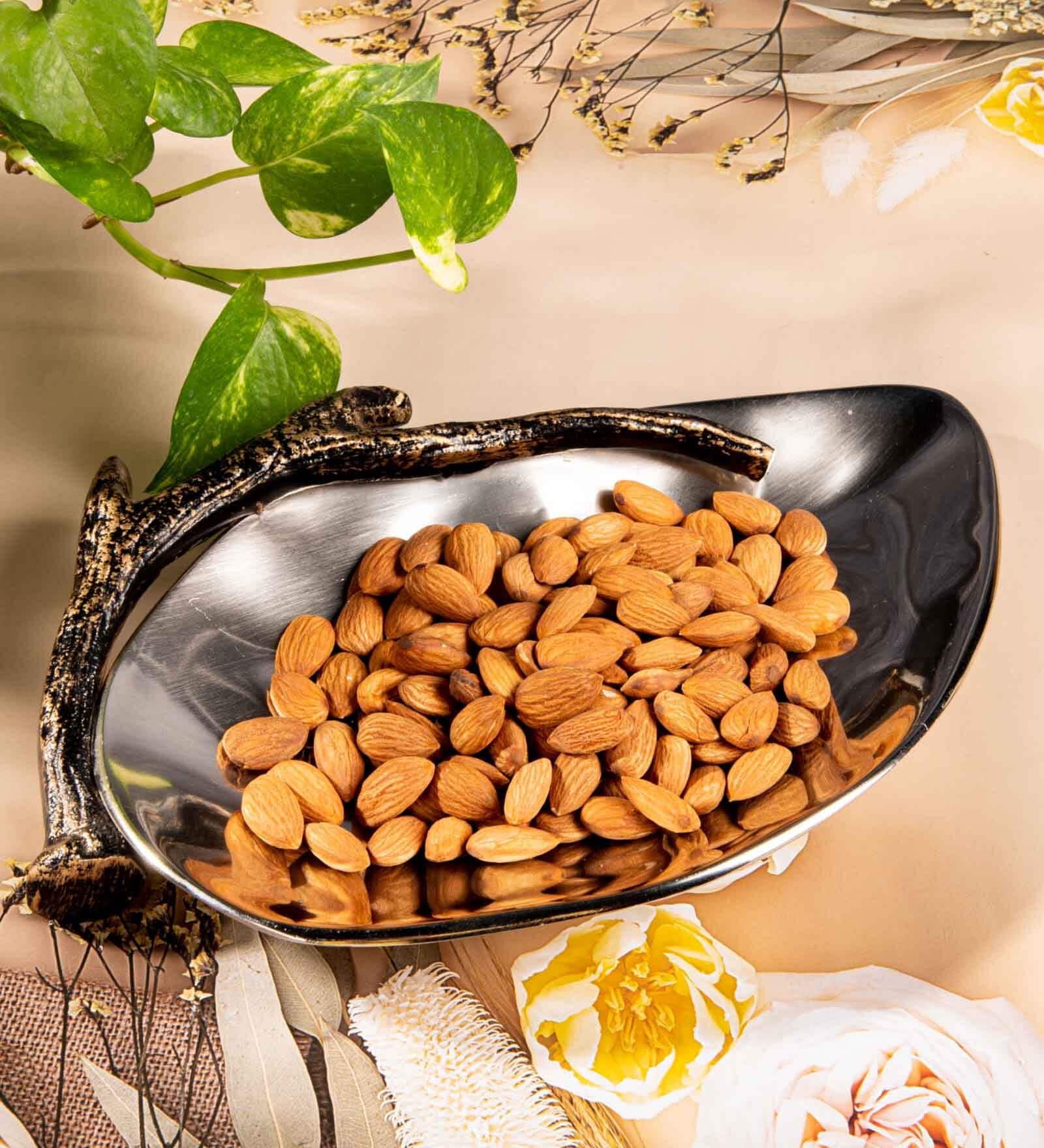 Gibox Nomadic Serving Platter Bowl Dish For Kitchen Office Dinner Table Top D cor Accent