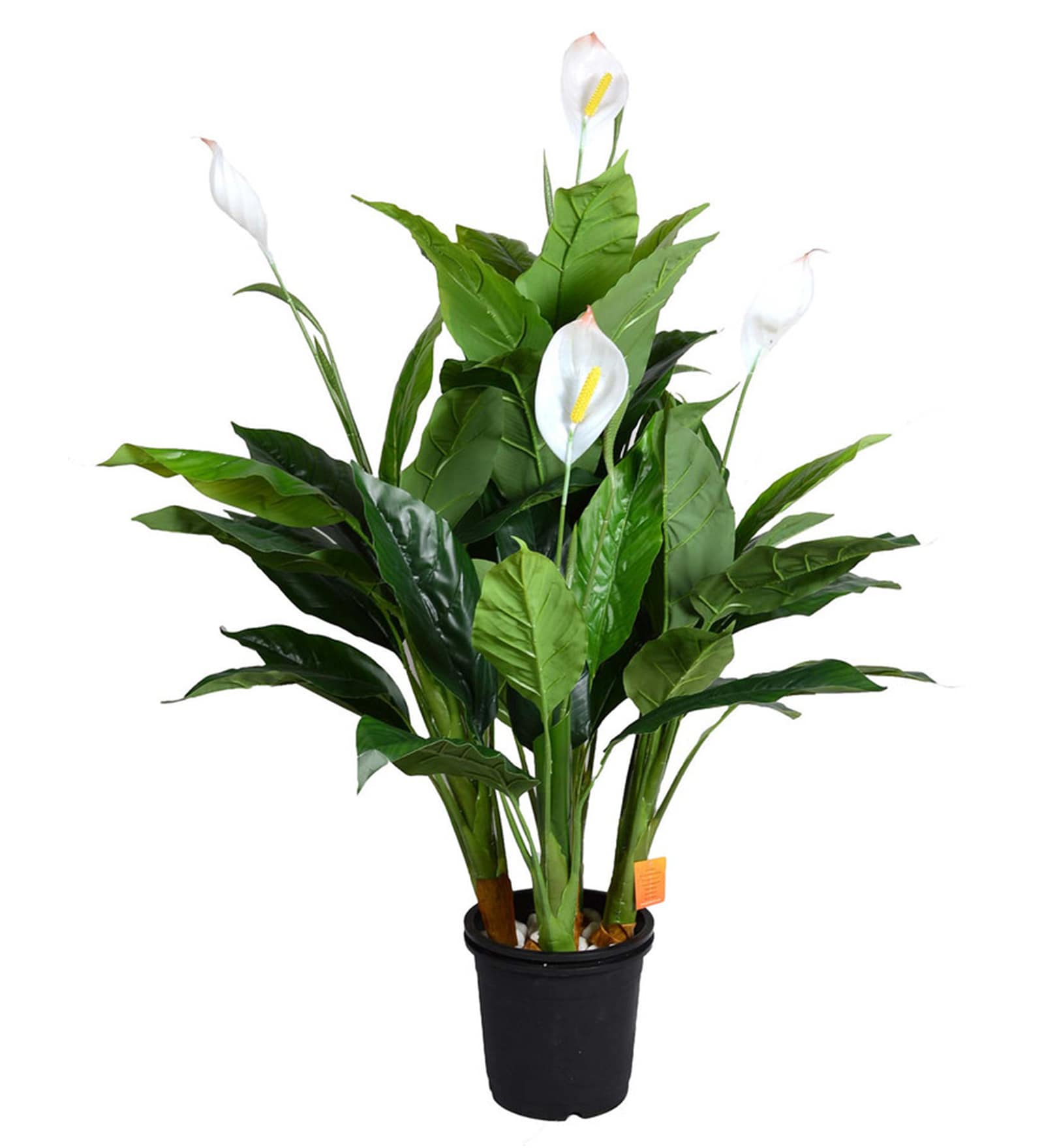 Green PVC & Synthetic Artificial Peace Lily Plant