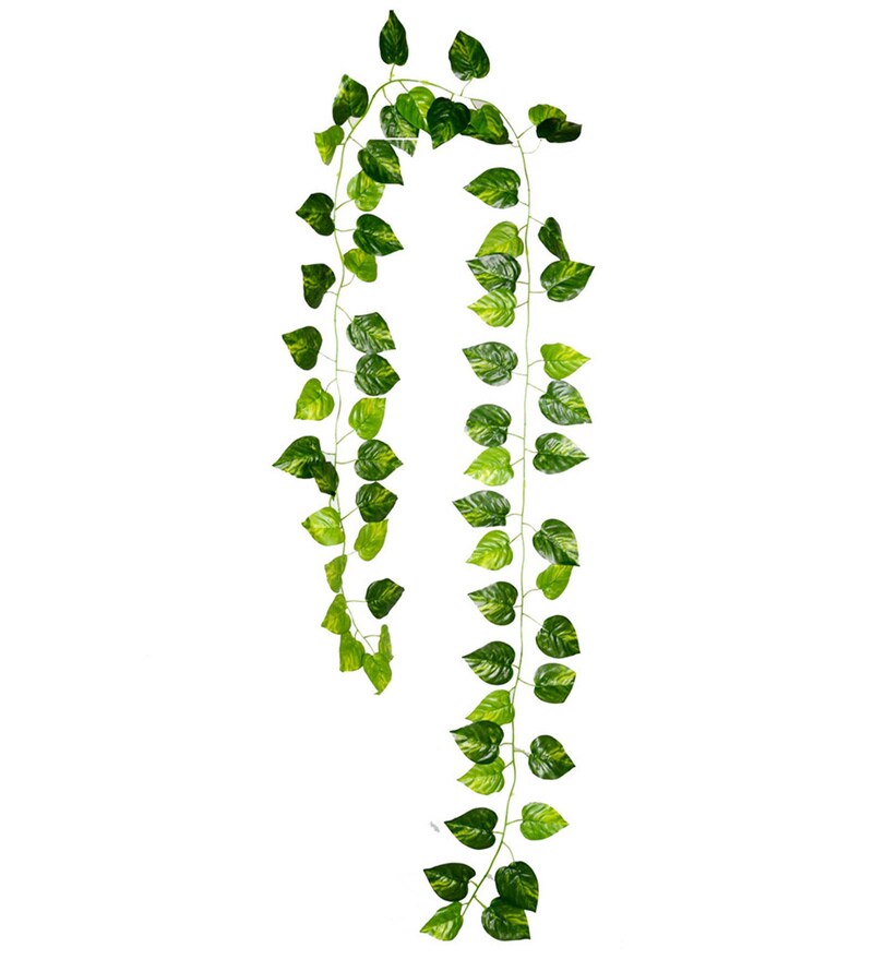 Buy Green PVC & Synthetic Artificial Money Plant Creeper Set of 2 by