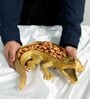 GIBOX Alligator Multipurpose Decorative Serving Platter Tray Dining Table Fancy Food Golden Crocodile