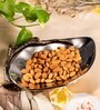 Gibox Nomadic Serving Platter Bowl Dish For Kitchen Office Dinner Table Top D cor Accent