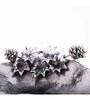 GIBOX Oaknut Leaf Platter Decorative Serving Platter Tray Dining Table Fancy Food Golden Crocodile