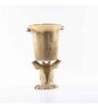 Gibox The Staggard Wine Cooler Double Walled Ice Cube Bucket, Beer,  Wine Chiller Barware D cor