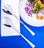GIBOX The Sunrise Salad Ice Scooper Reusable Bar Accessory for Home & Bar Party Serving Spoon 2 pieces