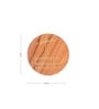 GIBOX Woodpecker Wooden Coasters Set Kitchen Table Home D cor Restaurants Designer (Set of 4)